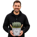 Lavender in Heart Logo Tin with Moss Rim – Pre-Planted Garden Container Plants By Post