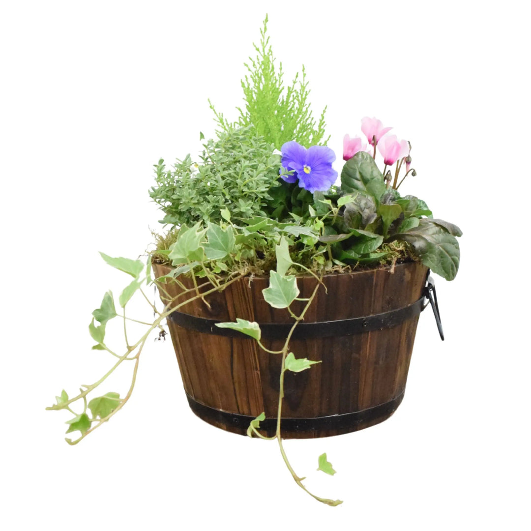 Wooden Seasonal Barrel with Mixed Plants – Moss Finish Planter Plants By Post