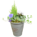 Olive Planter with Mixed Seasonal Plants – Grey or Green Garden Container Plants By Post