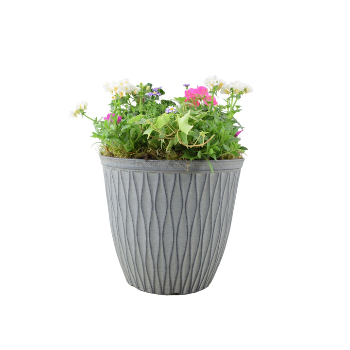 Vibrant Seasonal Planted Container – 26cm Decorative Outdoor Planter with Seasonal Flowers Plants By Post
