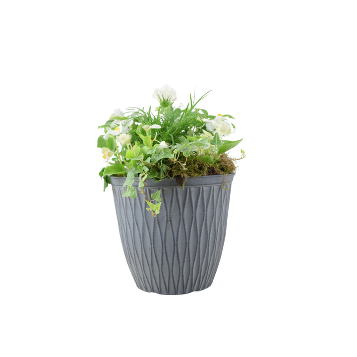 Vibrant Seasonal Planted Container – 26cm Decorative Outdoor Planter with Seasonal Flowers Plants By Post