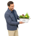 Seasonal Vintage Garden Metal Trough with Mixed Plants – Moss Finish Planter Plants By Post
