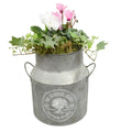 Seasonal Milk Churn with Mixed Plants – Autumn Colour Garden Planter Plants By Post