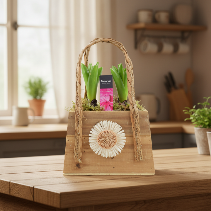 Spring Scented Hyacinth Handbag Planter Plants By Post