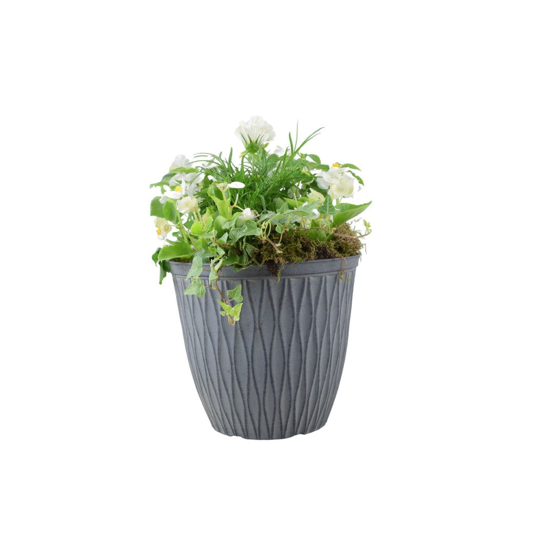 Vibrant Seasonal Planted Container – 26cm Decorative Outdoor Planter with Seasonal Flowers Plants By Post