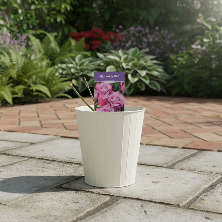 My Lovely Dad Plants By Post