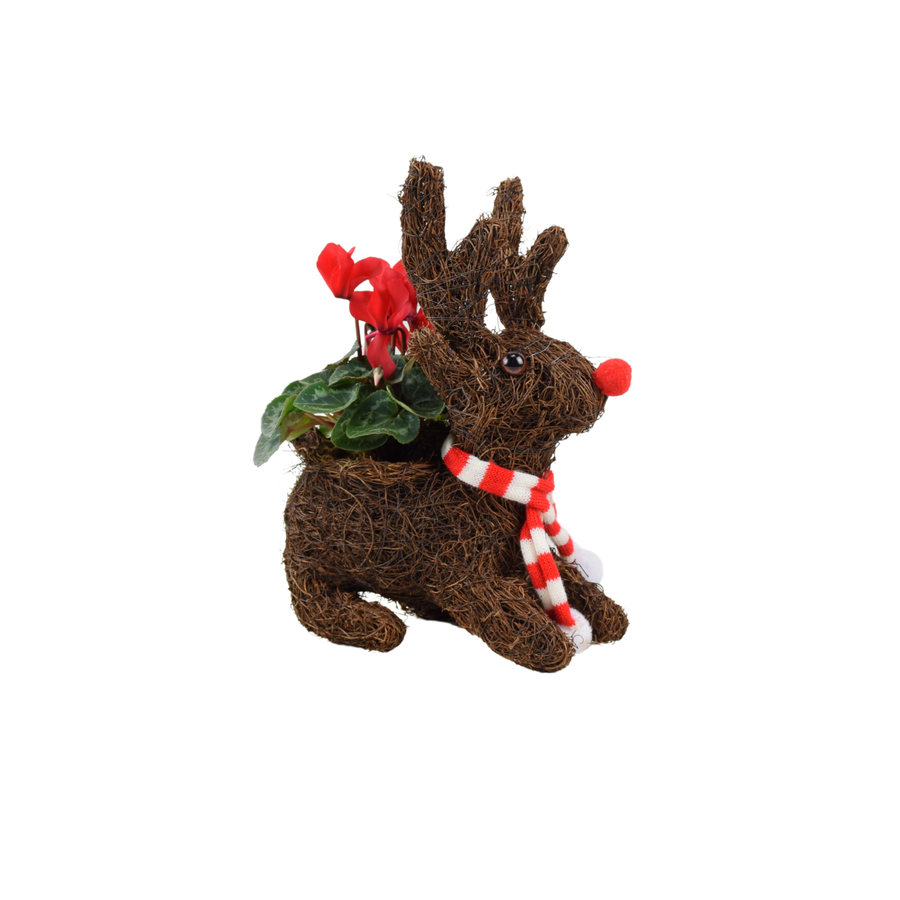 Sitting Reindeer – Festive Decorative Ornament (Red, White, or Red & White) Plants By Post