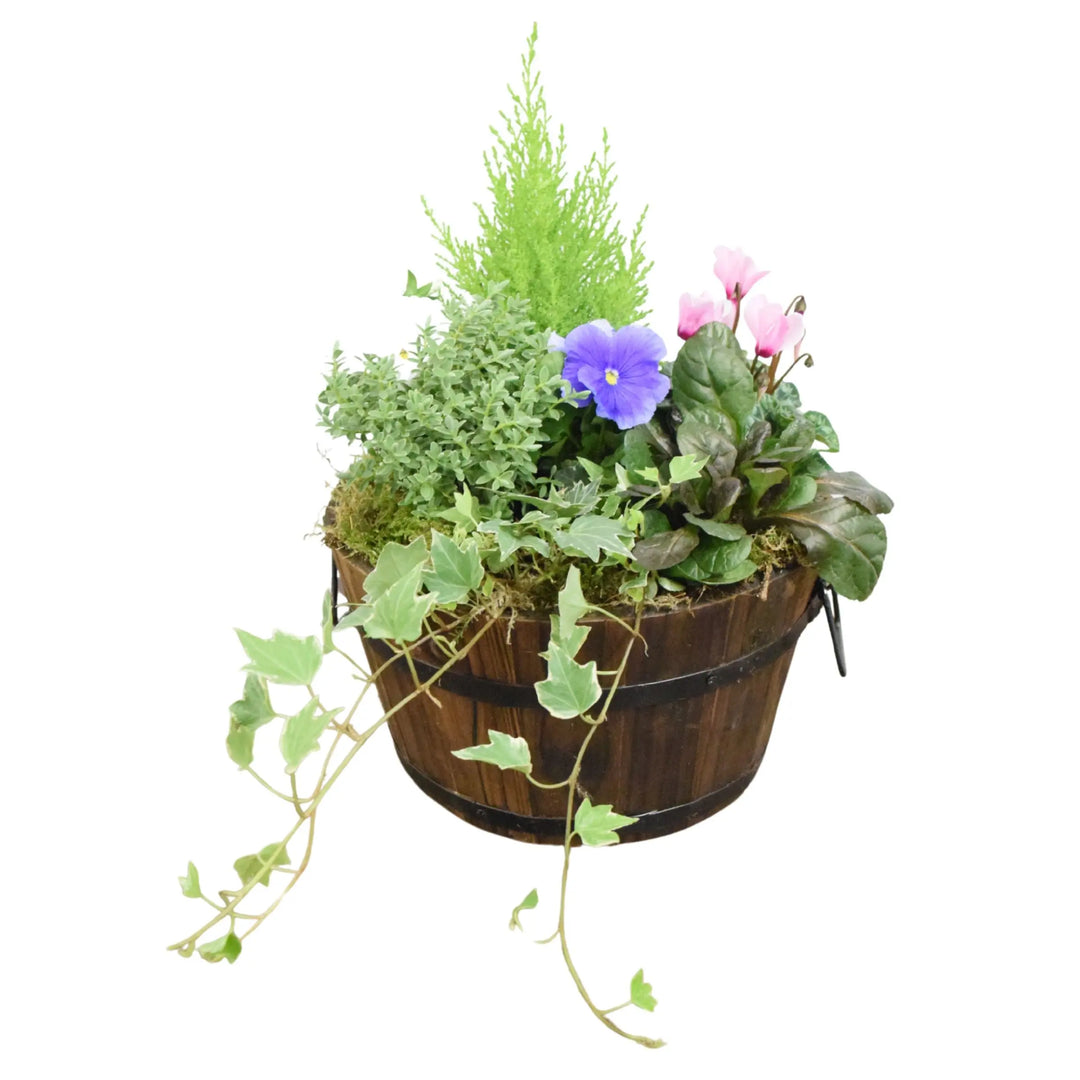Wooden Seasonal Barrel with Mixed Plants – Moss Finish Planter Plants By Post