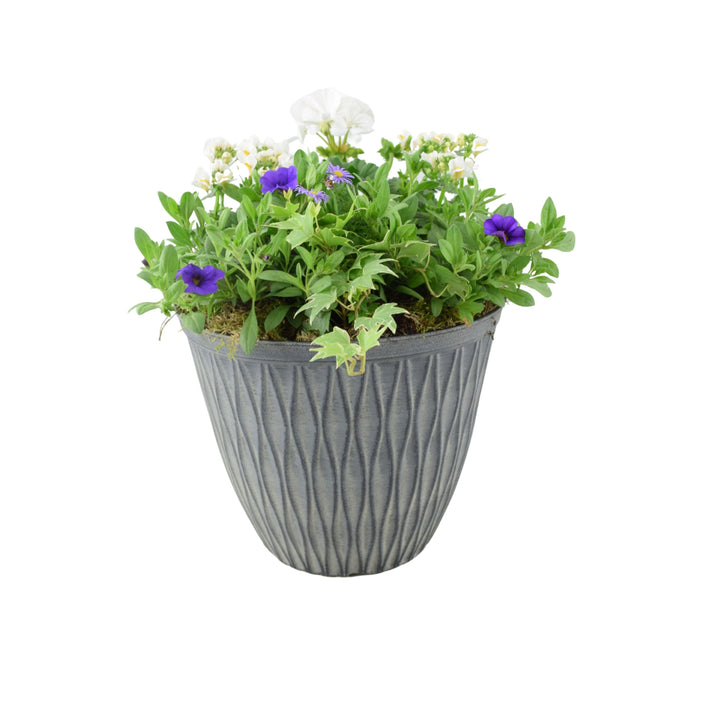 Vibrant Seasonal Planted Container – 26cm Decorative Outdoor Planter with Seasonal Flowers Plants By Post