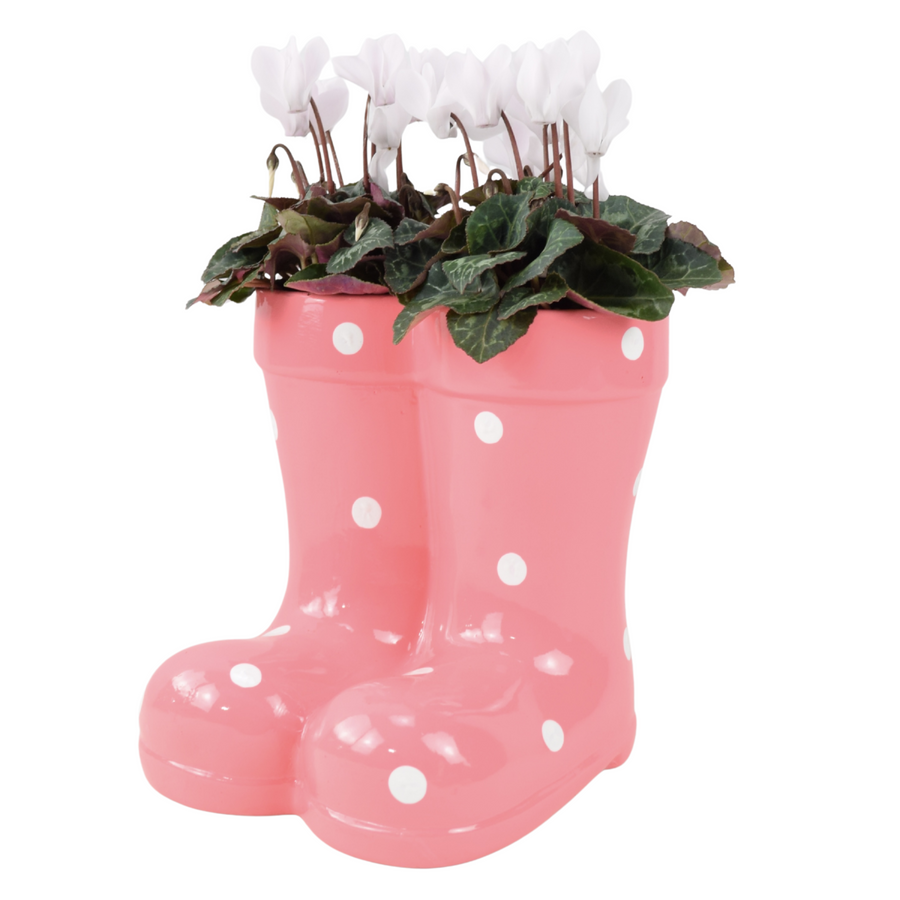 Pink Polka Dot Wellies Planter with Dianthus - Ceramic Garden Decor Plants By Post