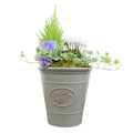 Olive Planter with Mixed Seasonal Plants – Grey or Green Garden Container Plants By Post