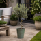 Olive Planter Premium Green