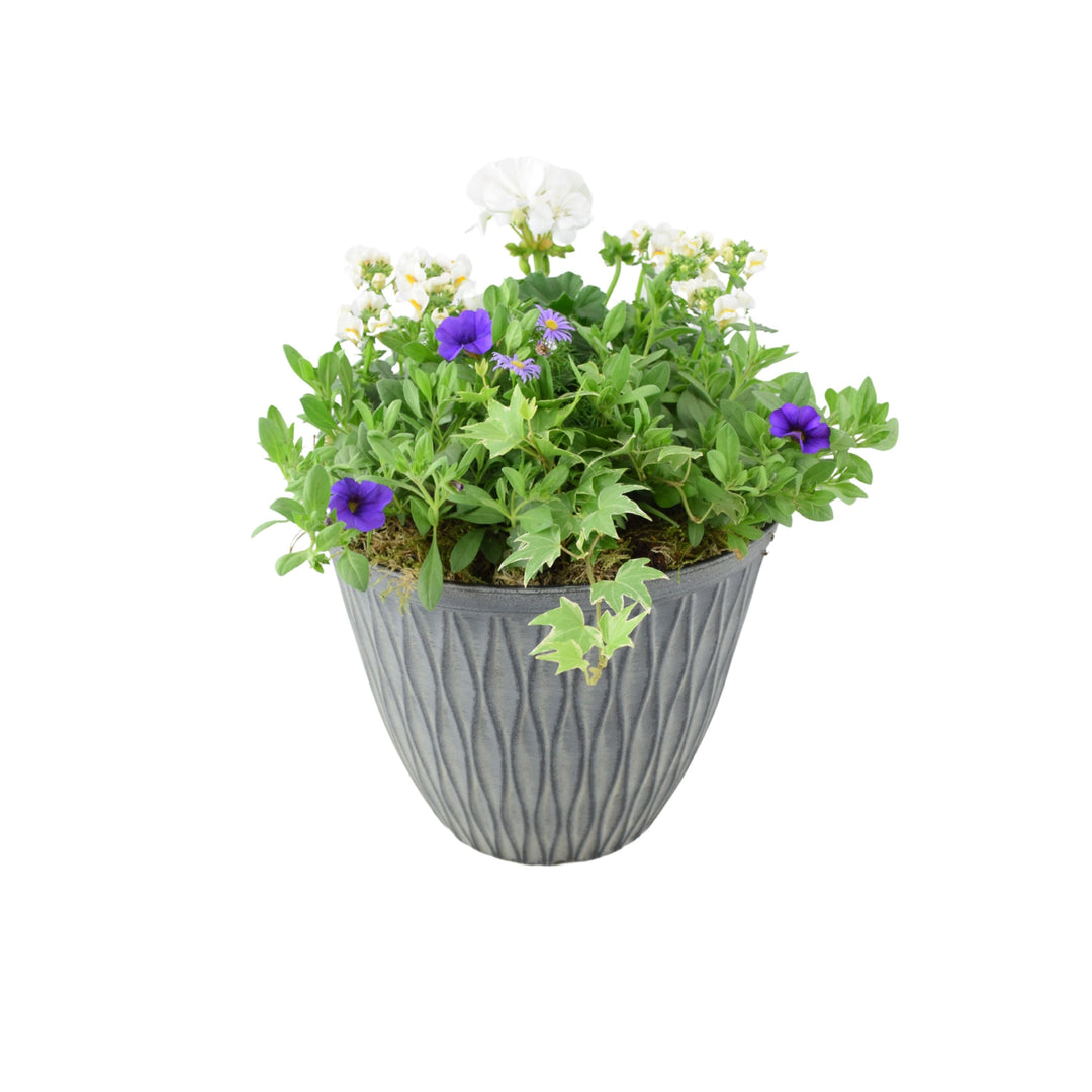 Vibrant Seasonal Planted Container – 26cm Decorative Outdoor Planter with Seasonal Flowers Plants By Post