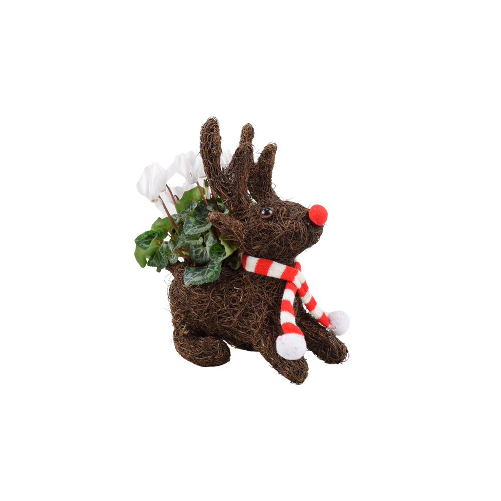Sitting Reindeer – Festive Decorative Ornament (Red, White, or Red & White) Plants By Post
