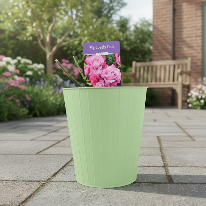 My Lovely Dad Plants By Post