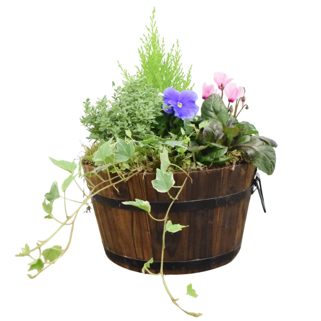 Wooden Seasonal Barrel with Mixed Plants – Moss Finish Planter Plants By Post