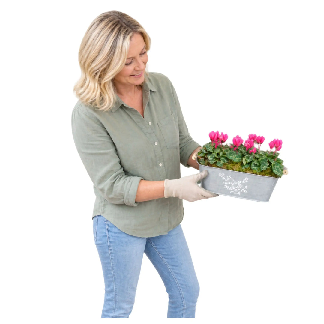 Floral Design Trough with Cyclamen – Wooden Handles & Moss Top Plants By Post