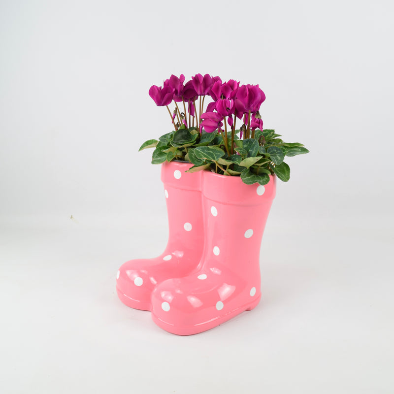 Wellies Seasonal Planter