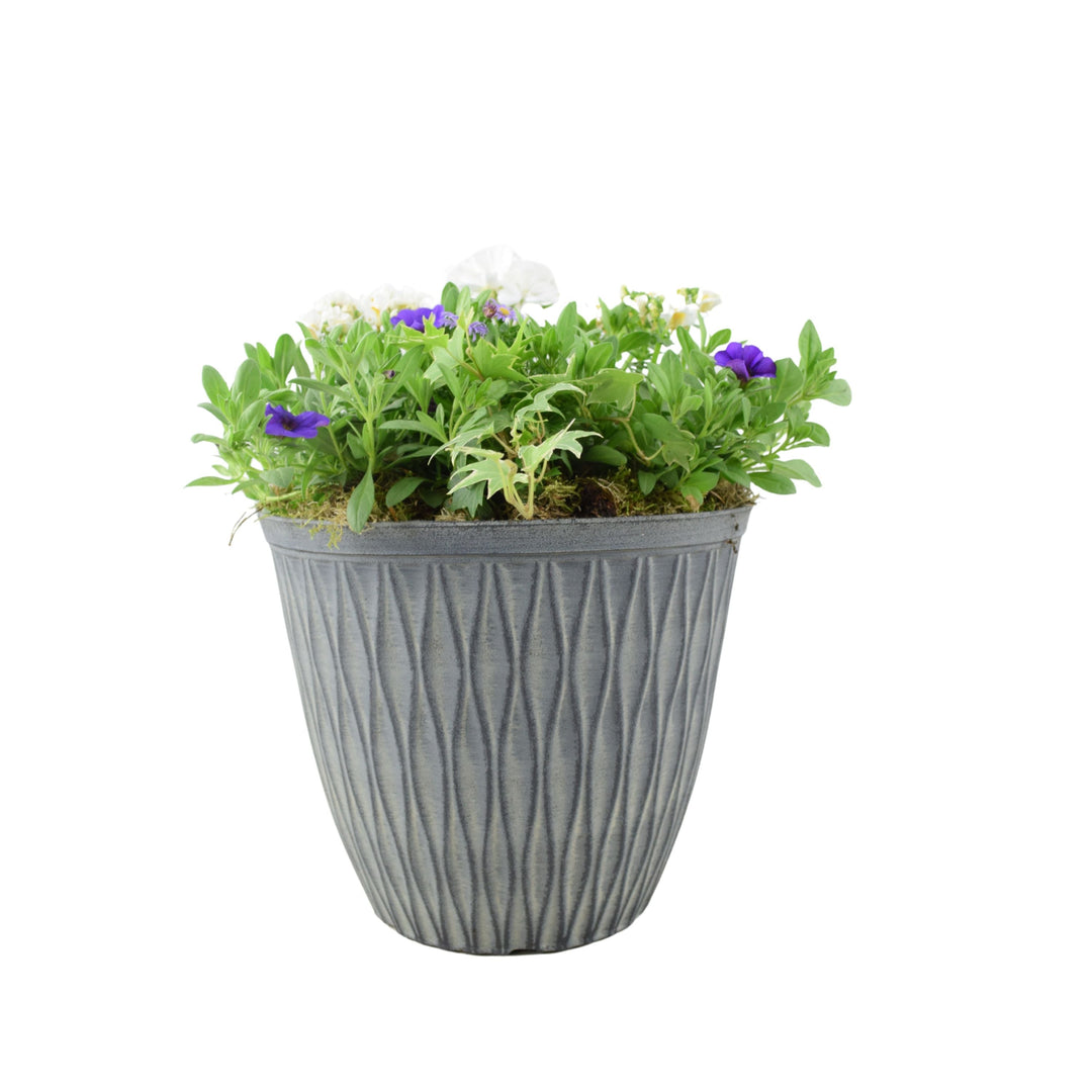 Vibrant Seasonal Planted Container – 26cm Decorative Outdoor Planter with Seasonal Flowers Plants By Post