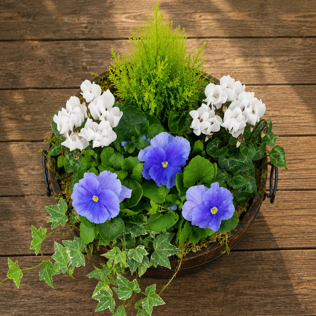 Wooden Seasonal Barrel with Mixed Plants – Moss Finish Planter Plants By Post