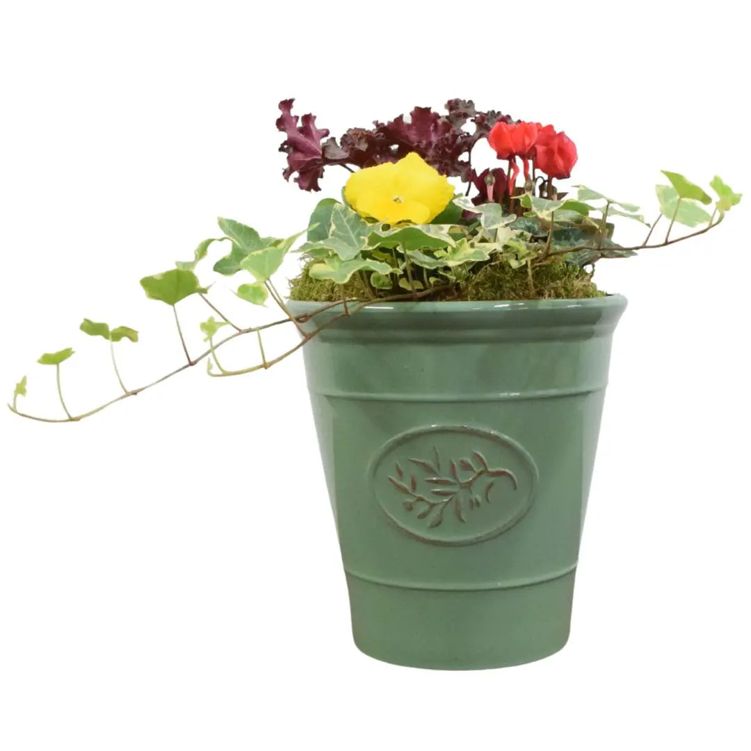 Olive Planter with Mixed Seasonal Plants – Grey or Green Garden Container Plants By Post