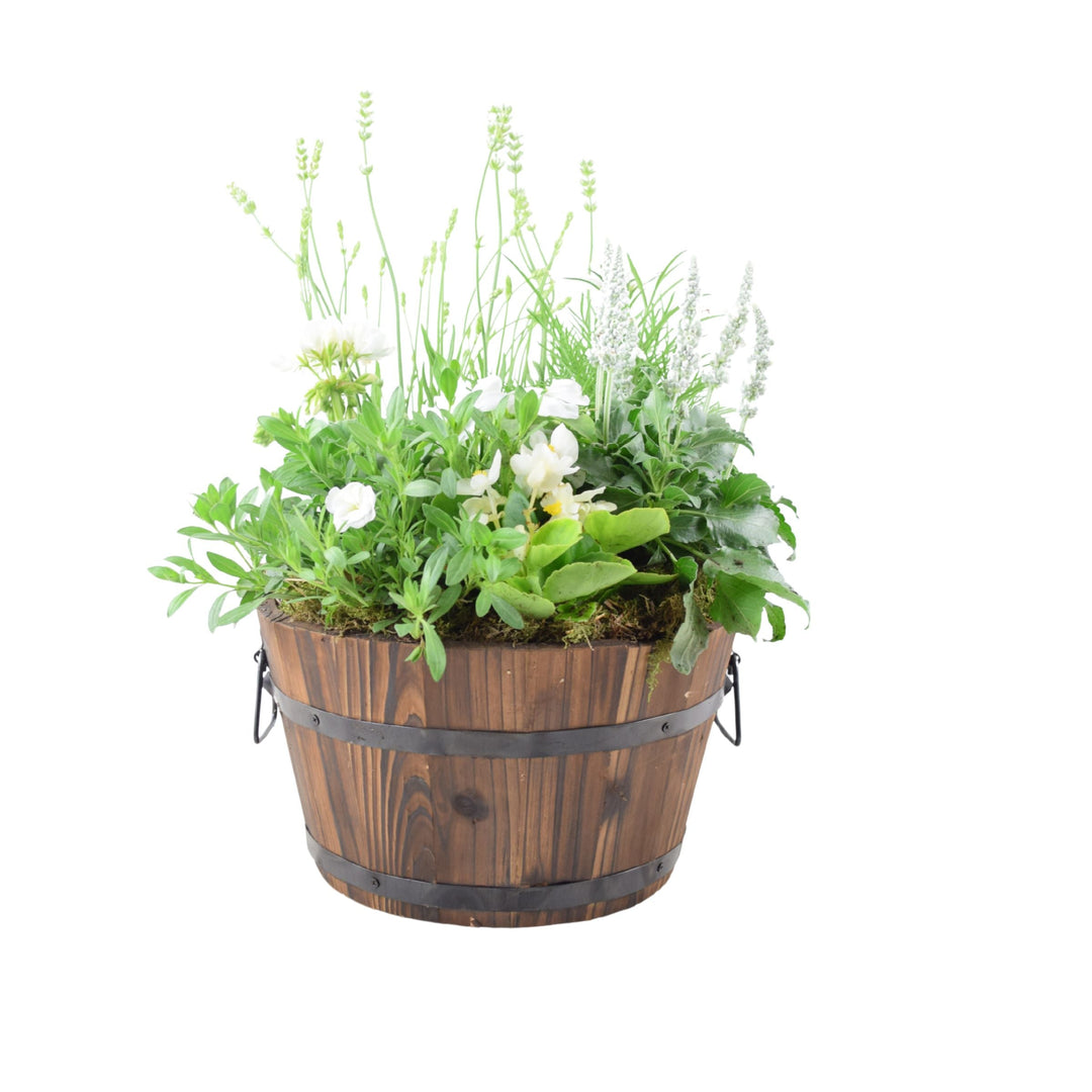 Seasonal Planted Wooden Barrel – 30cm Rustic Outdoor Planter with Mixed Seasonal Flowers Plants By Post
