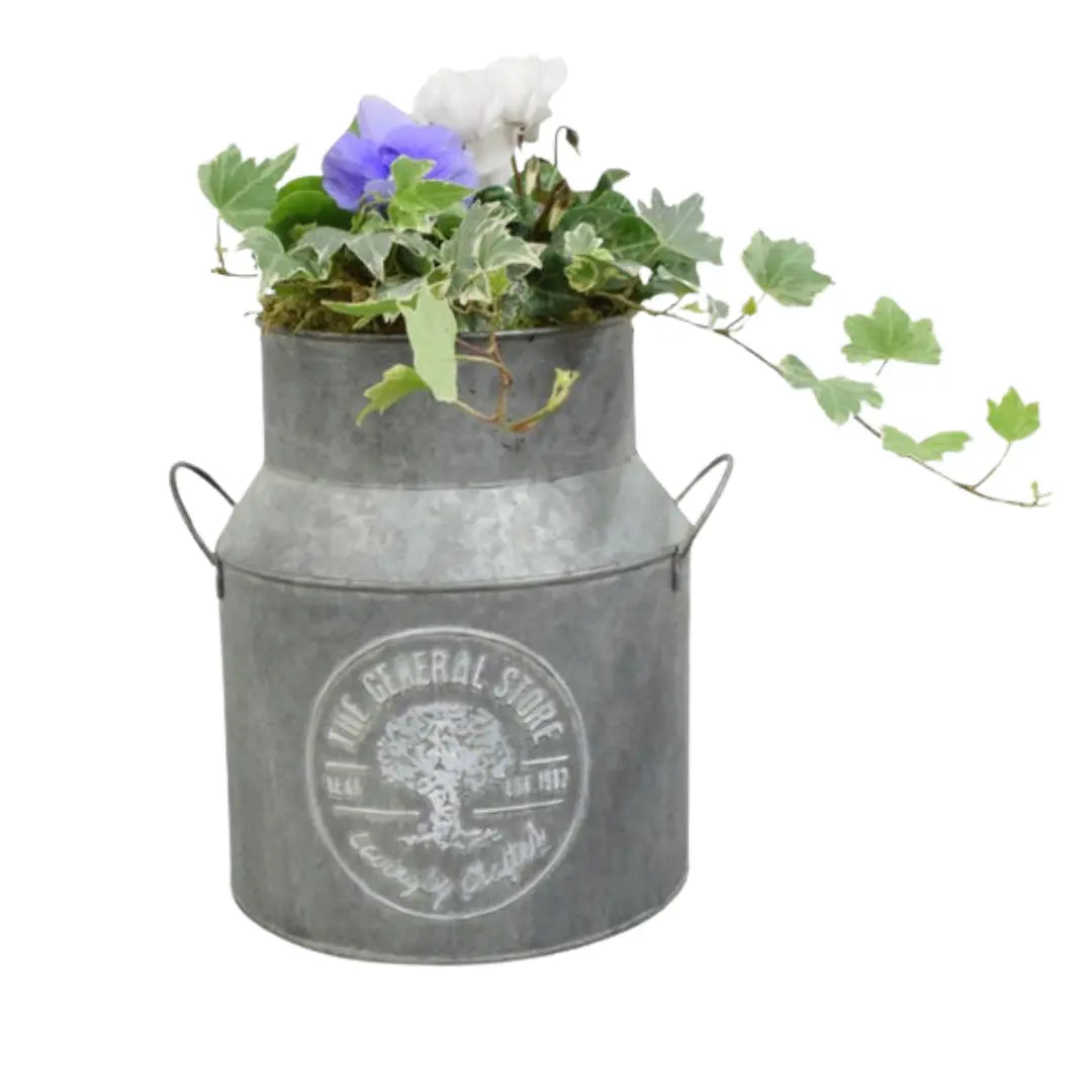 Seasonal Milk Churn with Mixed Plants – Autumn Colour Garden Planter Plants By Post