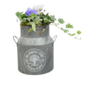 Seasonal Milk Churn with Mixed Plants – Autumn Colour Garden Planter Plants By Post