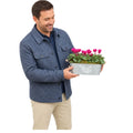 Floral Design Trough with Cyclamen – Wooden Handles & Moss Top Plants By Post