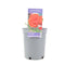 No Container