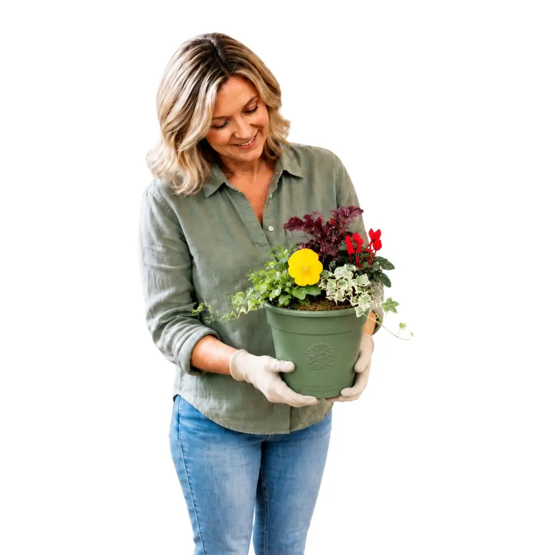 Olive Planter with Mixed Seasonal Plants – Grey or Green Garden Container Plants By Post