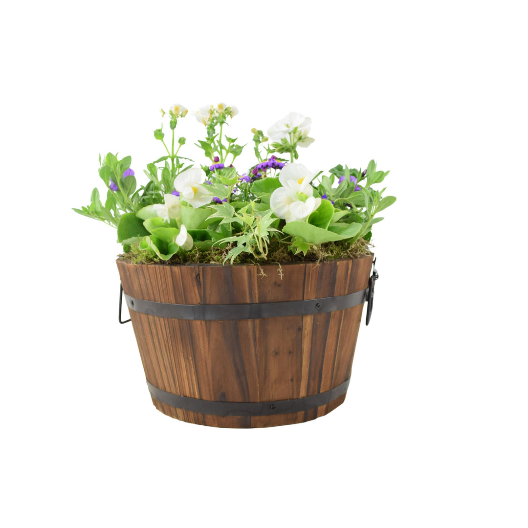 Seasonal Planted Wooden Barrel – 30cm Rustic Outdoor Planter with Mixed Seasonal Flowers Plants By Post