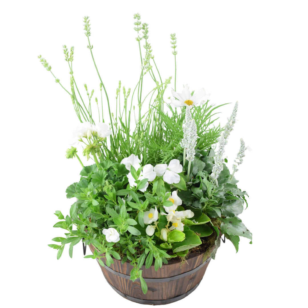 Seasonal Planted Wooden Barrel – 30cm Rustic Outdoor Planter with Mixed Seasonal Flowers Plants By Post