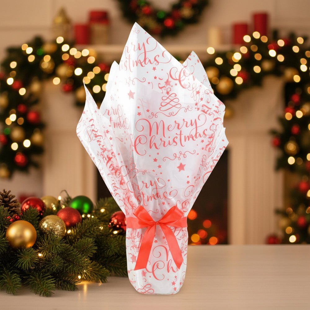 Gift Wrap for Plant Gifts – Perfect Finishing Touch for All Occasions Wrapped