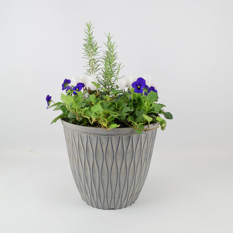 26cm Seasonal Planted Container