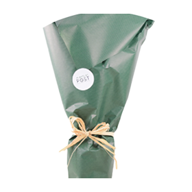 Gift Wrap for Plant Gifts – Perfect Finishing Touch for All Occasions Wrapped