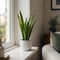 Glossy White Ceramic Pot