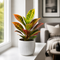 Glossy White Ceramic Pot