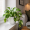 Glossy White Ceramic Pot