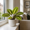 Glossy White Ceramic Pot