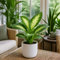 Glossy White Ceramic Pot
