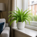 Nephrolepis Boston Fern in a Decorative Ceramic Pot Plants By Post UK