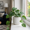 Glossy White Ceramic Pot