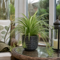 Grey Ceramic Pot