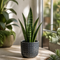 Grey Ceramic Pot