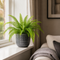 Grey Ceramic Pot