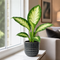 Grey Ceramic Pot
