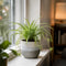 Grey Stoneware Pot