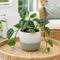 Grey Stoneware Pot