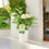 Metal Vertical Line Cream